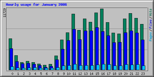 Hourly usage for January 2006