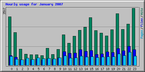 Hourly usage for January 2007